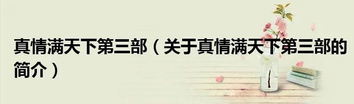 真情满天下第三部（关于真情满天下第三部的简介）