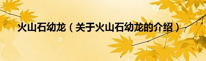 火山石幼龙（关于火山石幼龙的介绍）