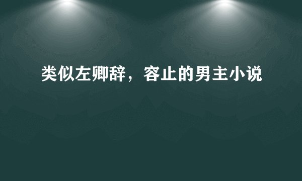 类似左卿辞，容止的男主小说