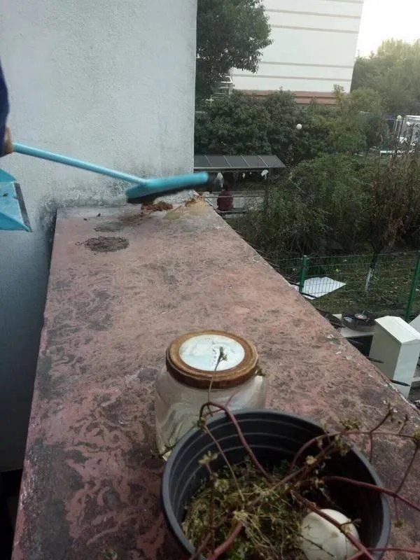 上海一高校女寝阳台被屎空袭,对此你怎么看?