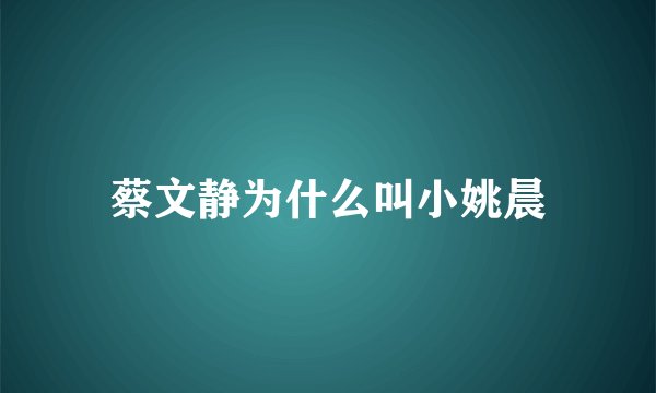 蔡文静为什么叫小姚晨
