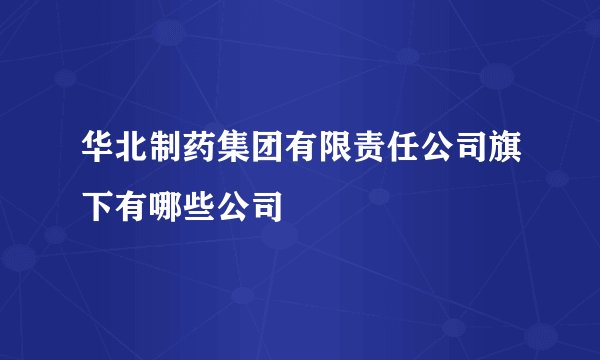 华北制药集团有限责任公司旗下有哪些公司