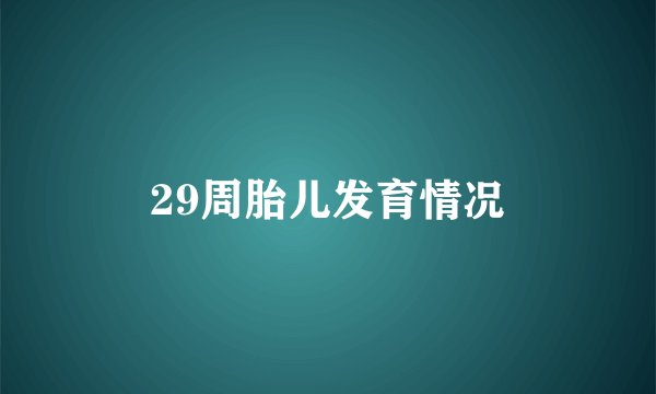 29周胎儿发育情况