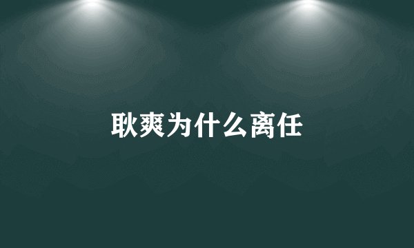 耿爽为什么离任