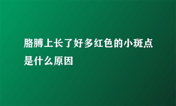胳膊上长了好多红色的小斑点是什么原因