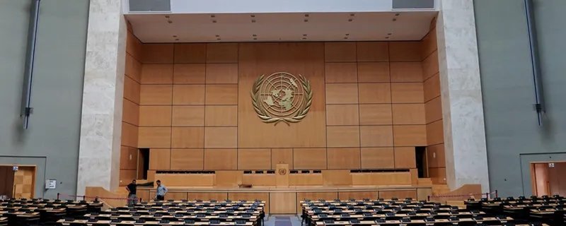 国际组织的分类和作用 国际组织的分类和作用有哪些