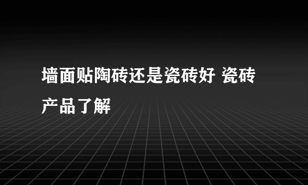 墙面贴陶砖还是瓷砖好 瓷砖产品了解