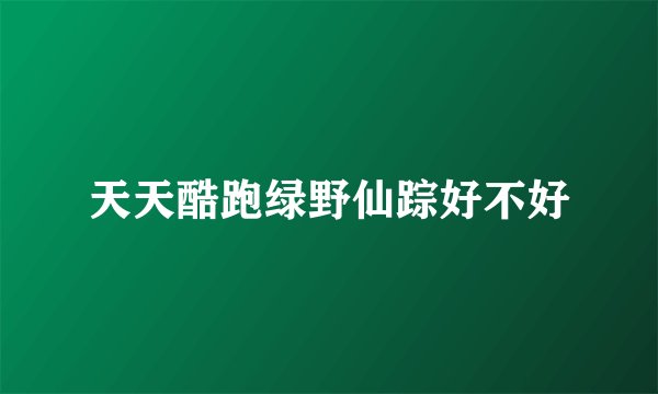 天天酷跑绿野仙踪好不好