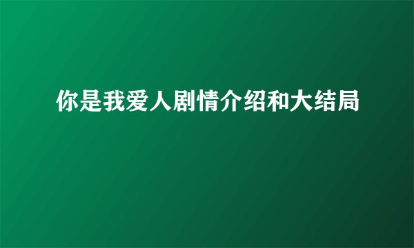 你是我爱人剧情介绍和大结局