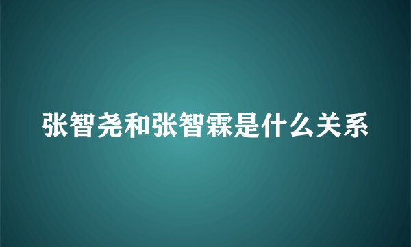 张智尧和张智霖是什么关系