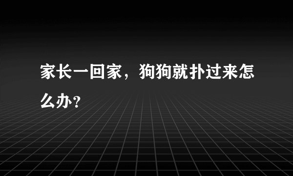 家长一回家，狗狗就扑过来怎么办？