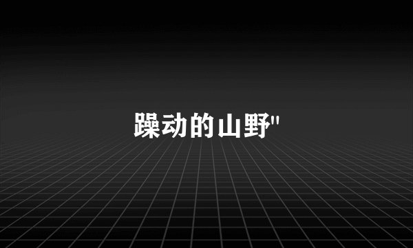 躁动的山野