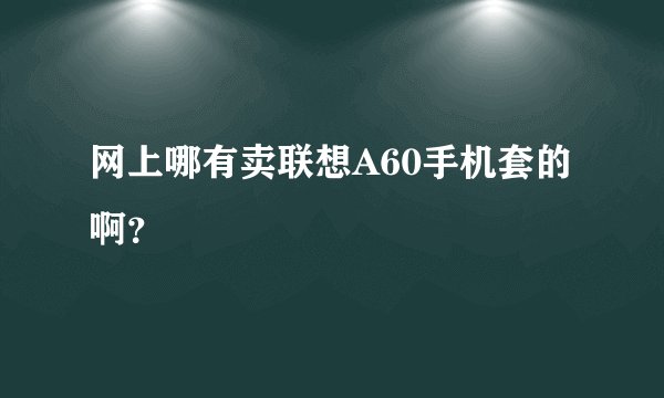 网上哪有卖联想A60手机套的啊?