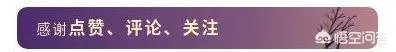 如何评价江苏高考文科第一名因历史选修是B+无缘清华北大?