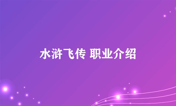 水浒飞传 职业介绍
