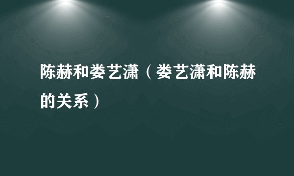 陈赫和娄艺潇（娄艺潇和陈赫的关系）