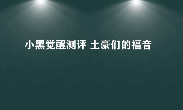 小黑觉醒测评 土豪们的福音
