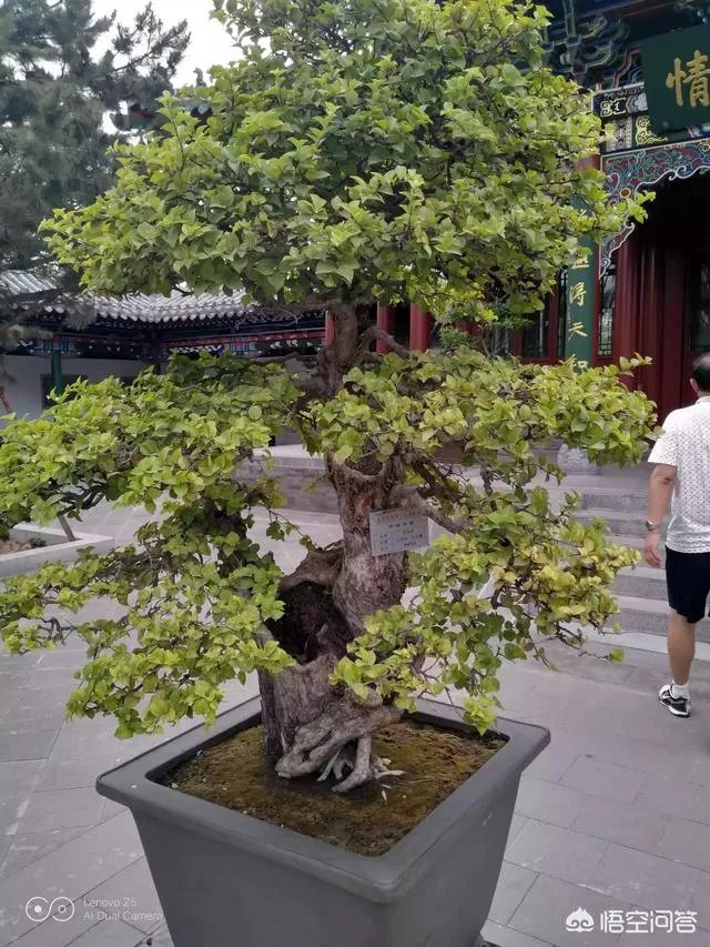 如何评价有人说罗永浩发布会总是迟到?