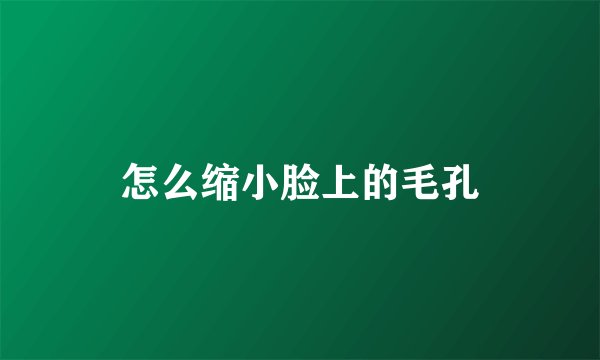怎么缩小脸上的毛孔