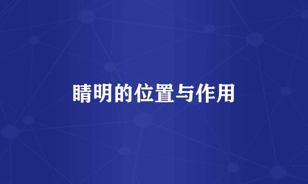 睛明的位置与作用