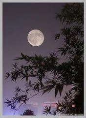 《黄鹤楼》这首诗有什么意境?