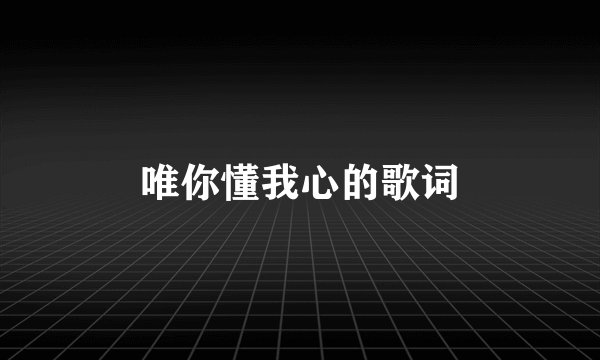 唯你懂我心的歌词