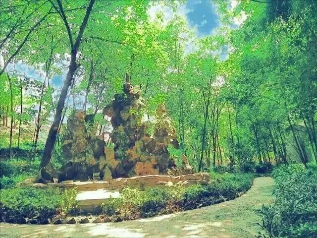 南充高中到底有多好?