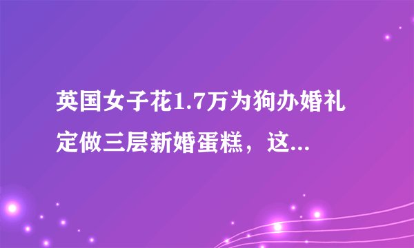 英国女子花1.7万为狗办婚礼 定做三层新婚蛋糕，这样的消费观你能接受吗？