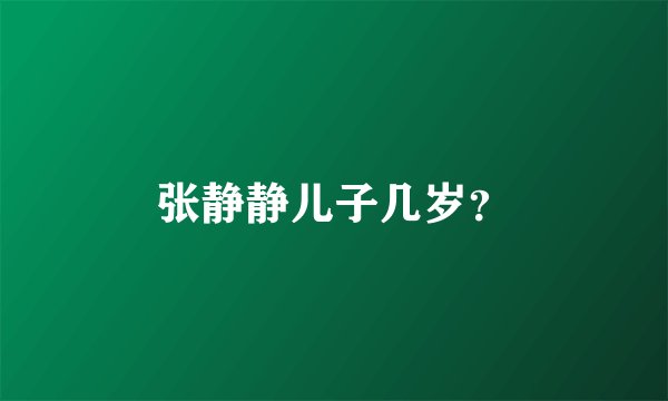 张静静儿子几岁？