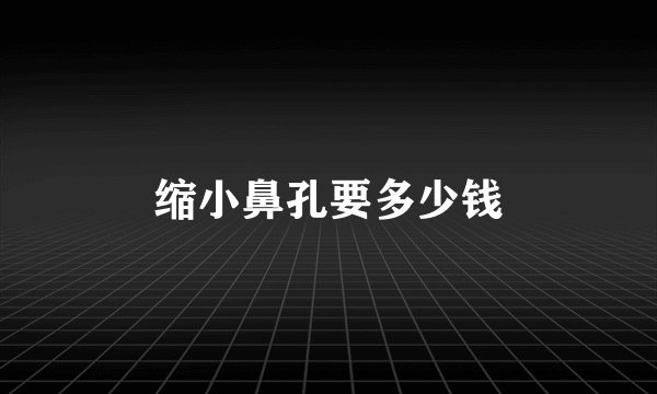 缩小鼻孔要多少钱