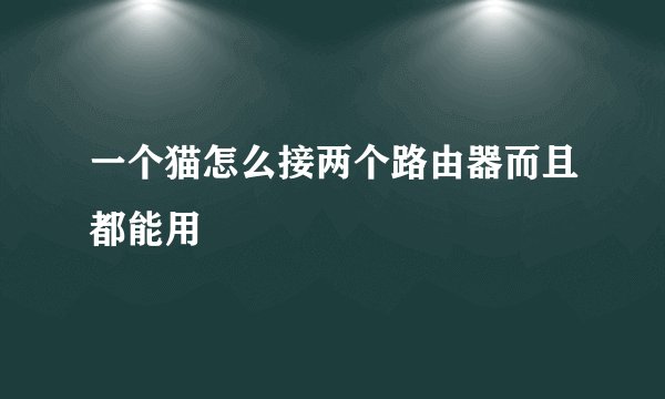 一个猫怎么接两个路由器而且都能用