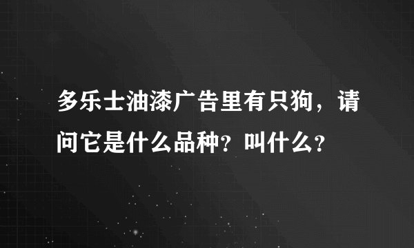 多乐士油漆广告里有只狗，请问它是什么品种？叫什么？