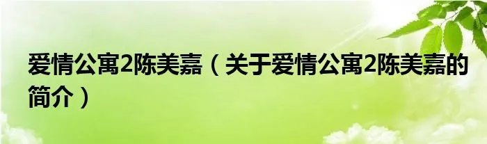 爱情公寓2陈美嘉（关于爱情公寓2陈美嘉的简介）