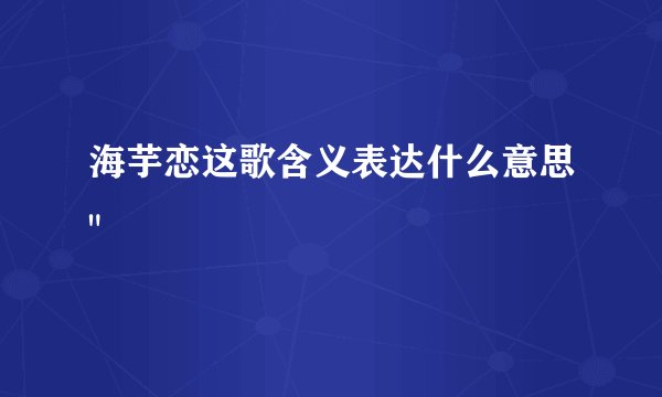 海芋恋这歌含义表达什么意思