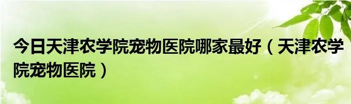 今日天津农学院宠物医院哪家最好（天津农学院宠物医院）