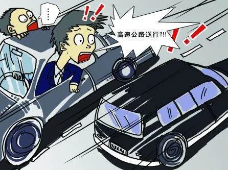 湖北女司机高速逆行6公里,被捕后称以为别人开错了,是真糊涂还是装糊涂?