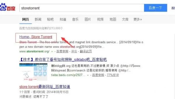 storetorrent官网