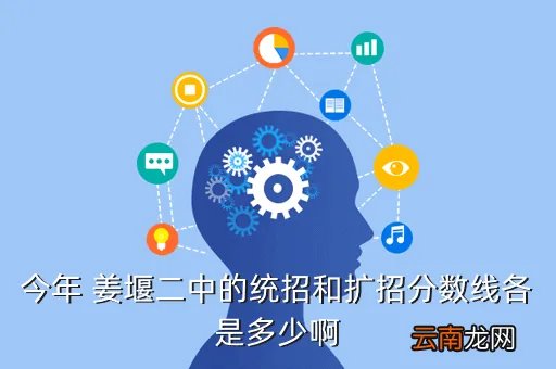 姜堰二中国际班，今年 姜堰二中的统招和扩招分数线各是多少啊