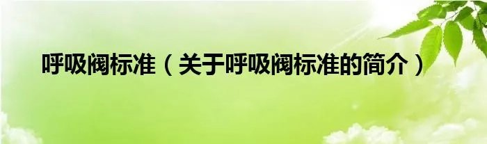 呼吸阀标准（关于呼吸阀标准的简介）