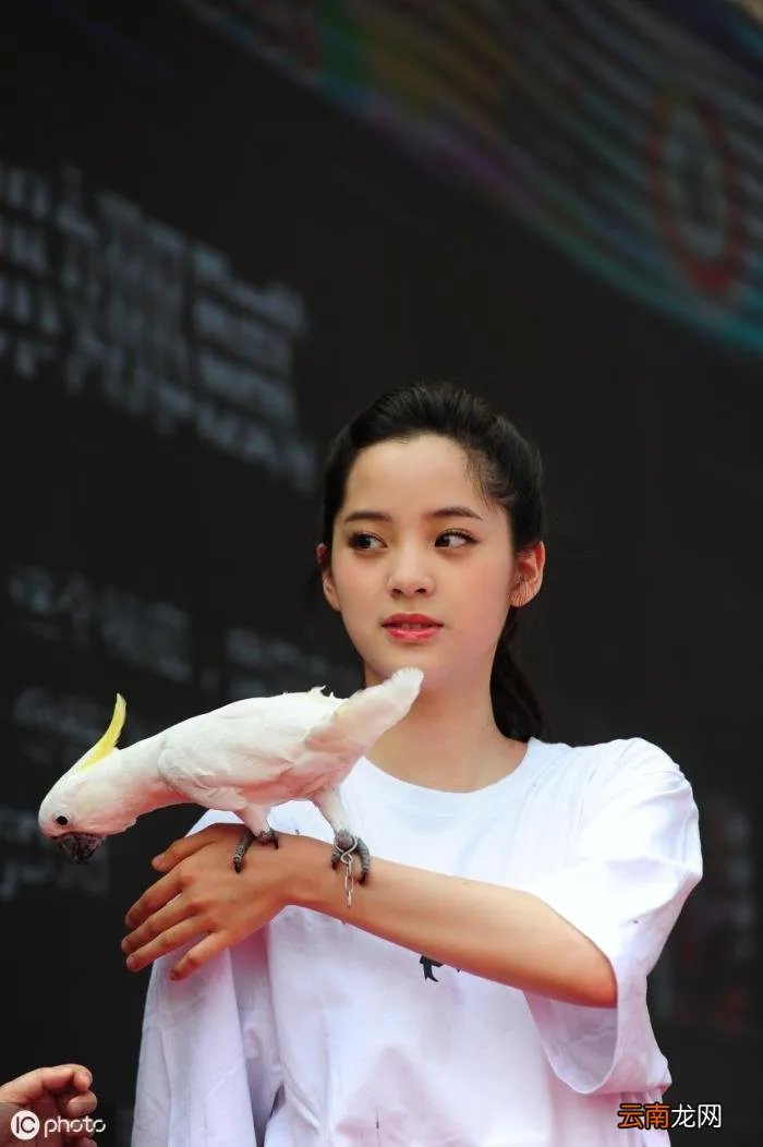 欧阳娜娜的一些简介 欧阳娜娜个人简历资料