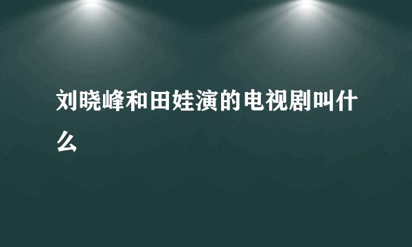 刘晓峰和田娃演的电视剧叫什么