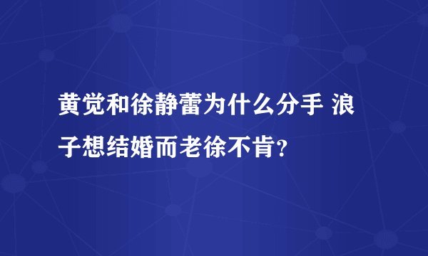 黄觉和徐静蕾为什么分手 浪子想结婚而老徐不肯？