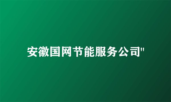 安徽国网节能服务公司