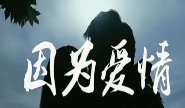 因为爱情原唱