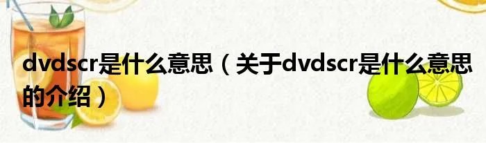 dvdscr是什么意思（关于dvdscr是什么意思的介绍）