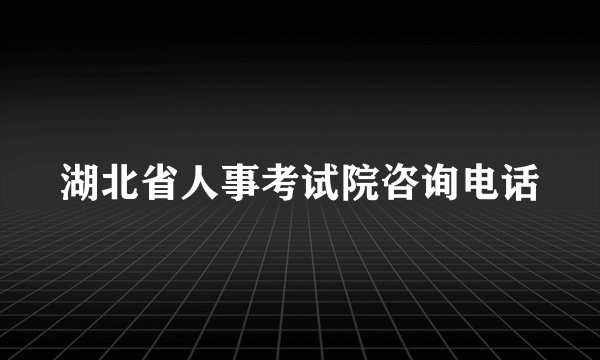 湖北省人事考试院咨询电话