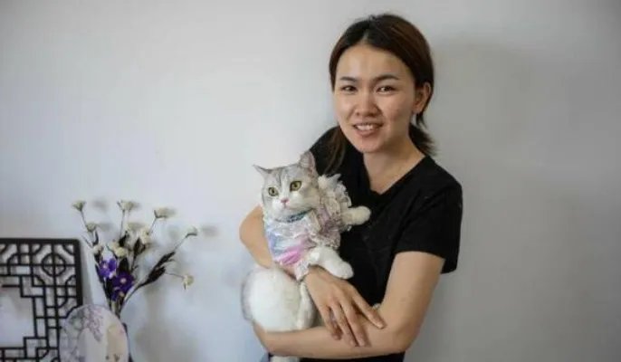 90后女孩给猫做汉服月入7万 事件始末详情介绍
