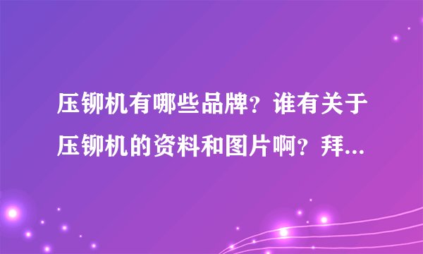 压铆机有哪些品牌?谁有关于压铆机的资料和图片啊?拜托了各位 谢谢