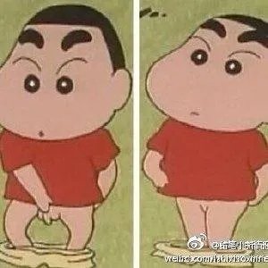 孙红鹤的简介