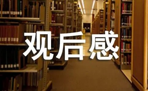 冰雪公主观后感